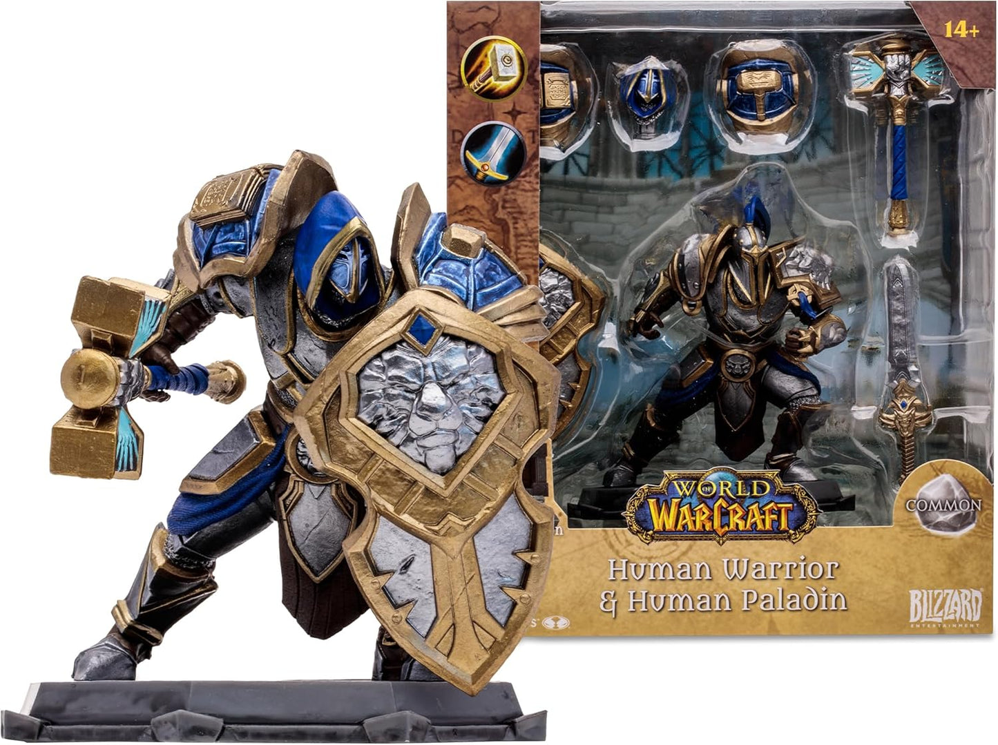 World Of Warcraft: Human Paladin / Warrior