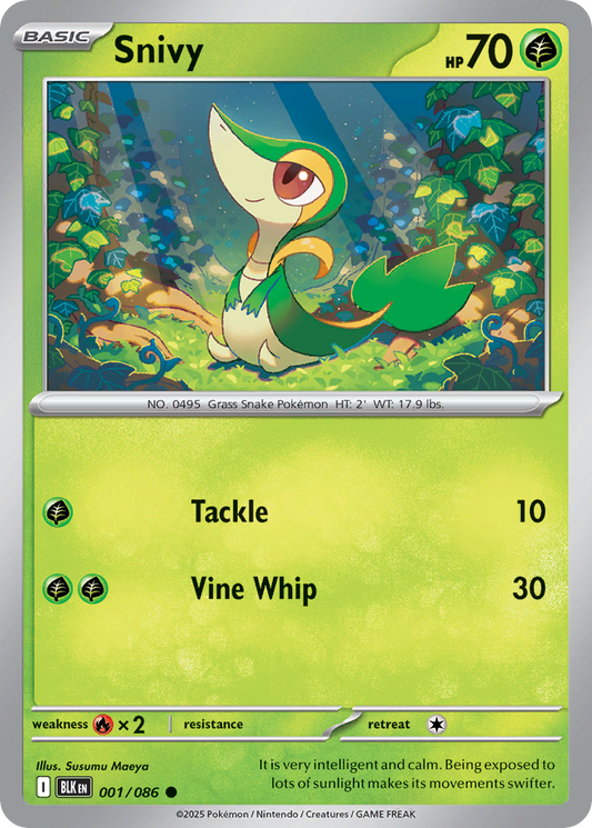 Snivy [Black Bolt-1]