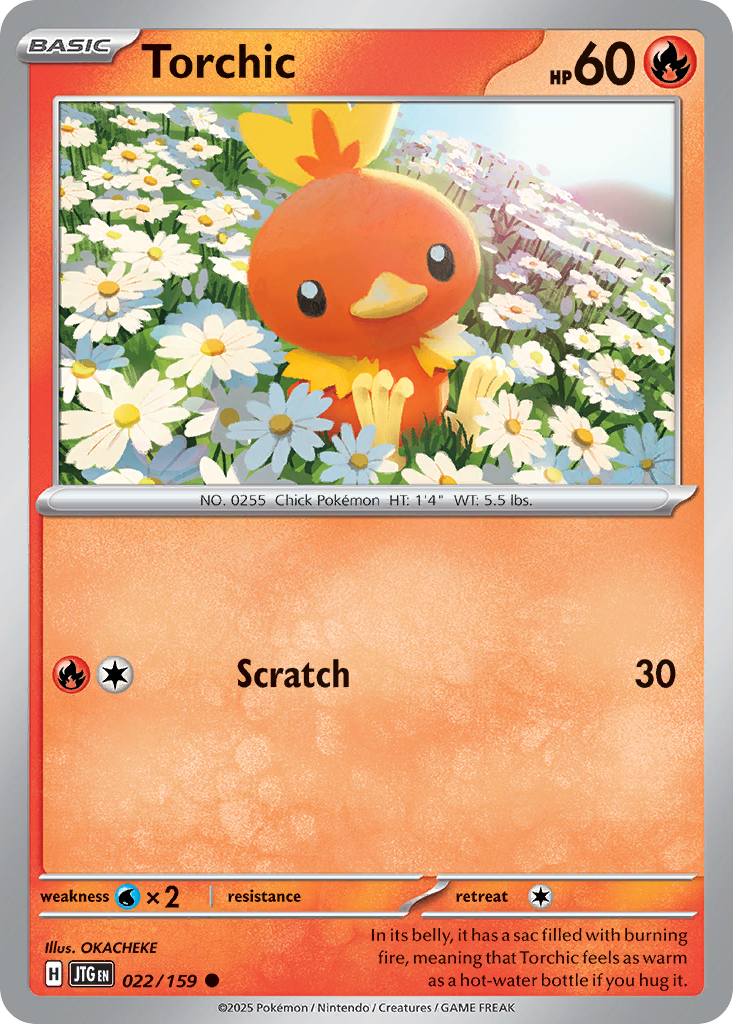 Torchic [Journey Together-22]