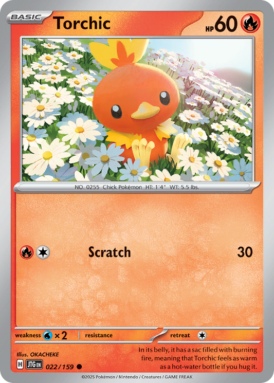Torchic [Journey Together-22]