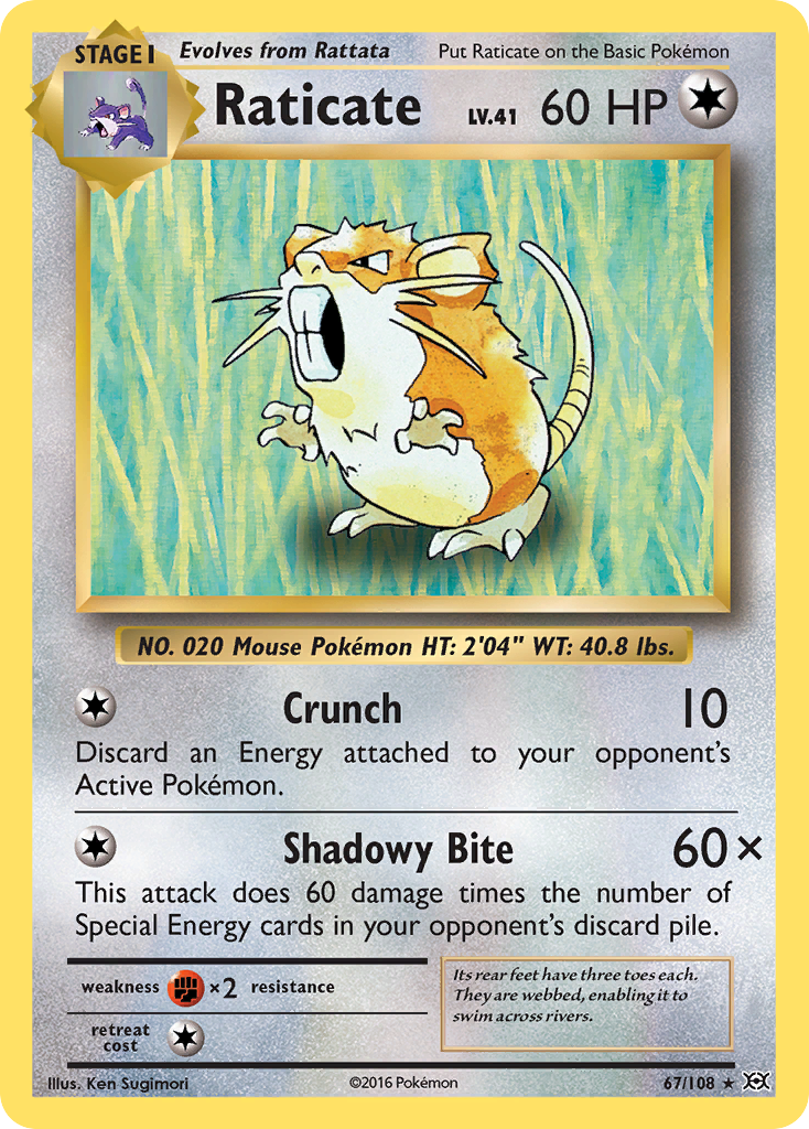 Raticate [Evolutions-67]