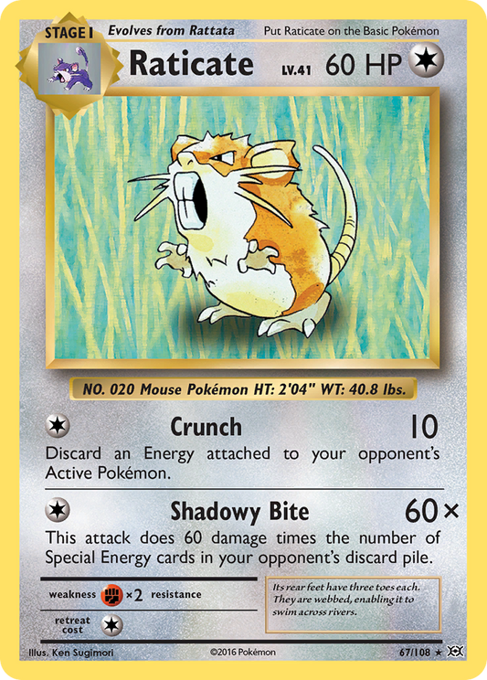 Raticate [Evolutions-67]