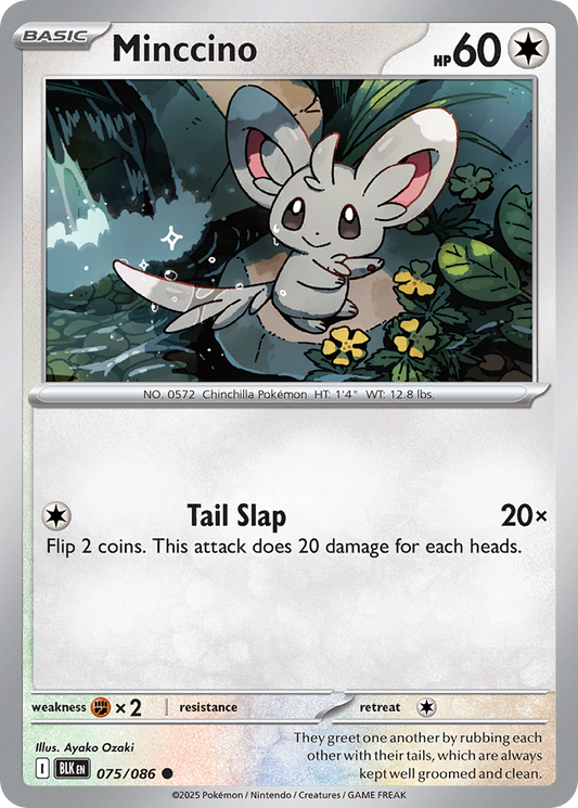 Minccino [Black Bolt-75]