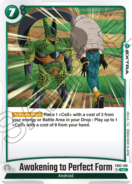 Awakening to Perfect Form (FB02 100)